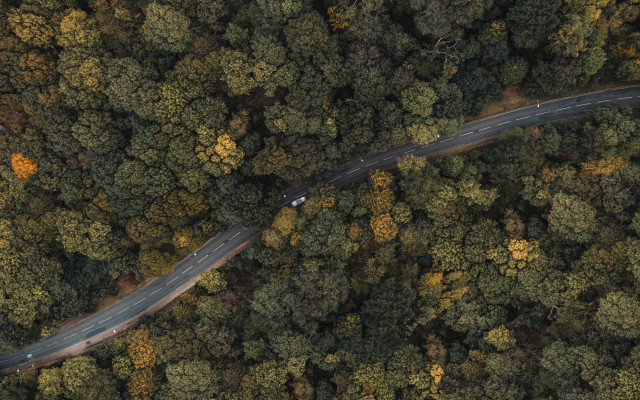 Winding road forest car truck free wallpaper - medium preview image
