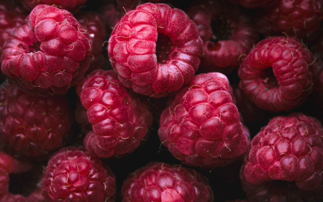 Raspberries macro closeup food fruit free wallpaper - medium preview image