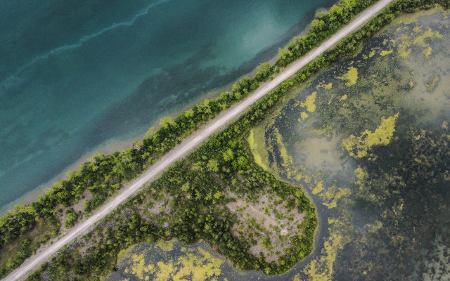 Aerial road water trees tilt free wallpaper - medium preview image