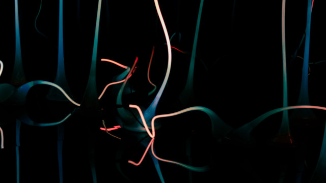 Black wires red light bioluminescence free wallpaper - medium preview image