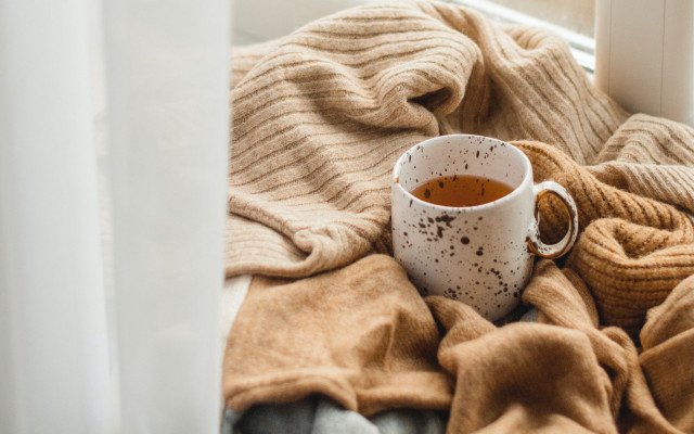 Cozy tea bed blanket window free wallpaper - medium preview image