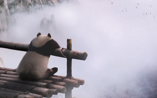 Panda bamboo roof mountains foggy free wallpaper - medium preview image