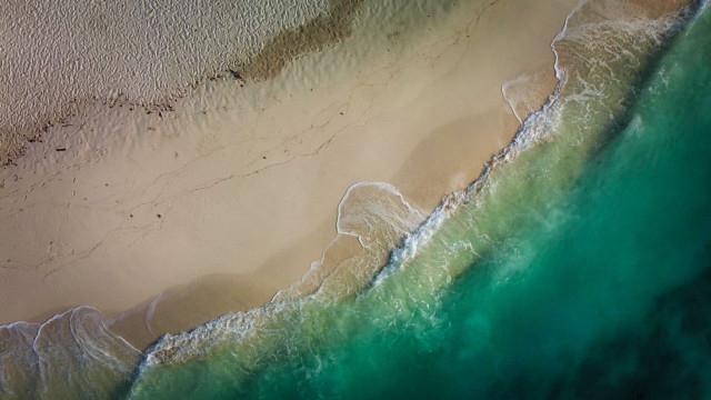 Beach wave surfboard person ocean free wallpaper - medium preview image