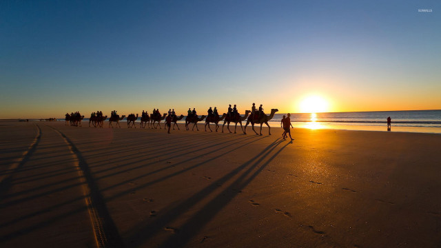 Beach sunset horseback riders ocean free wallpaper - medium preview image