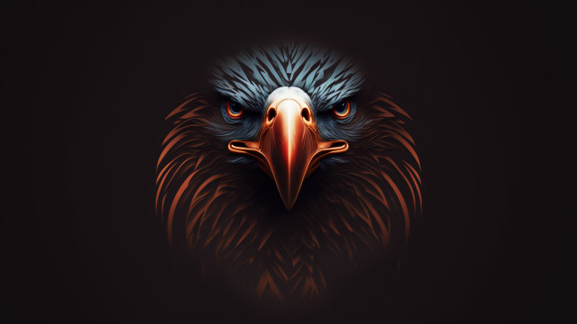 Bird beak angry portrait stokes free wallpaper - medium preview image