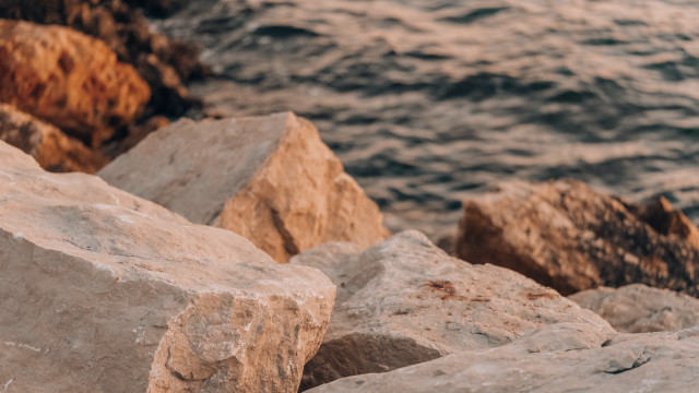 Bird rock ocean mountains shore free wallpaper - medium preview image