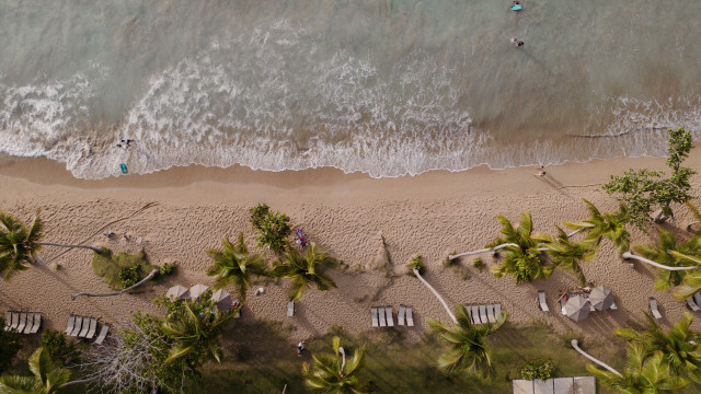 Beach people trees water tiltshift free wallpaper - medium preview image