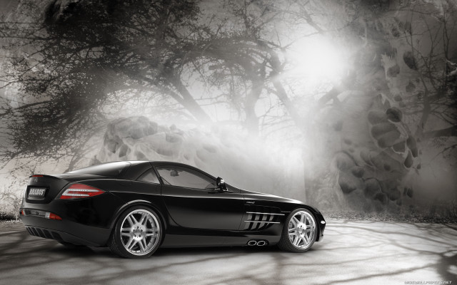 Black sports car dark forest free wallpaper - medium preview image