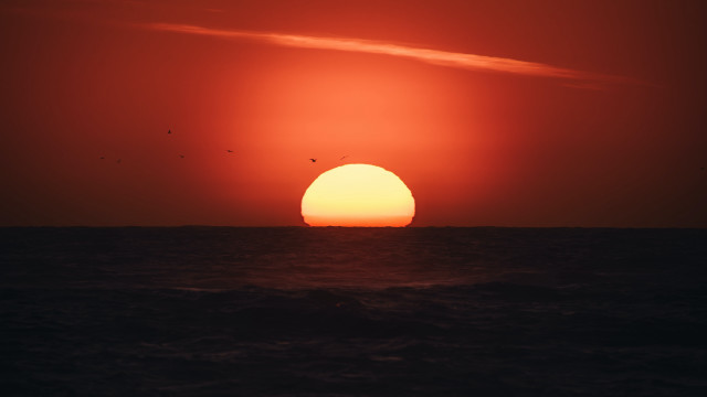 Sunset ocean boat birds matte free wallpaper - medium preview image