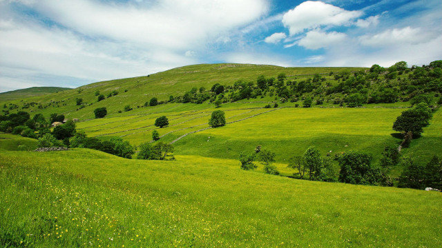 Lush green hillside blue sky #2 free wallpaper - medium preview image