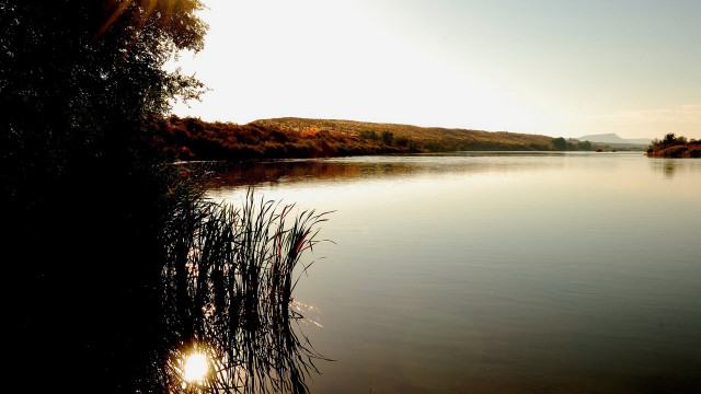 Lake hill trees sunset water free wallpaper - medium preview image