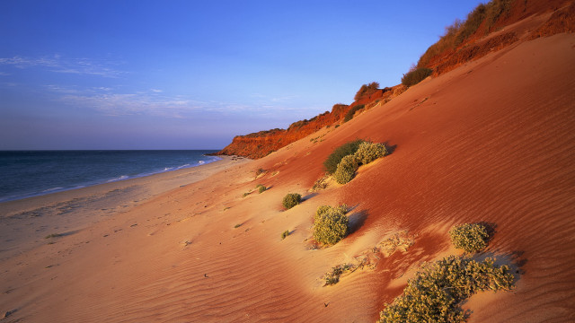 Sandy beach bushes ocean cliff free wallpaper - medium preview image