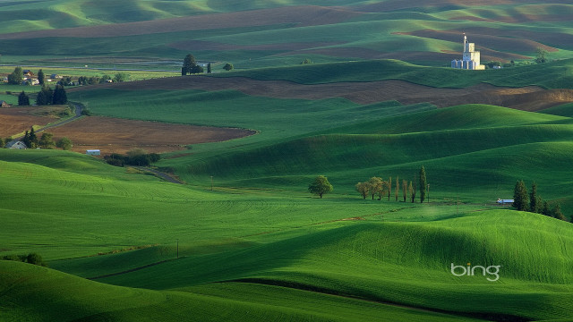 Green field church trees hill free wallpaper - medium preview image