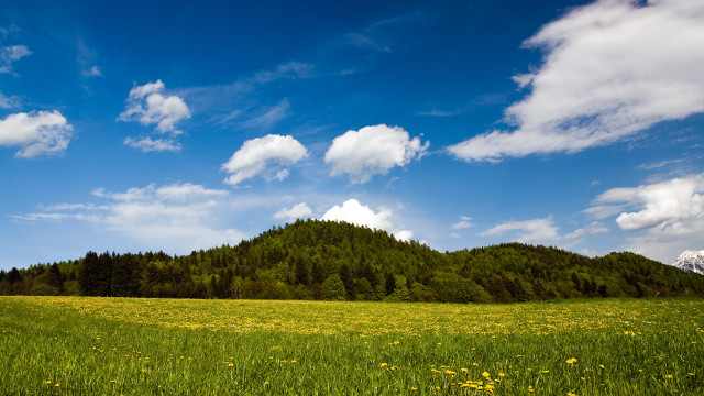 Mountain field clouds yellowflowers landscape free wallpaper - medium preview image