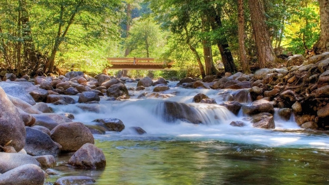 Forest stream bridge nature scene free wallpaper - medium preview image