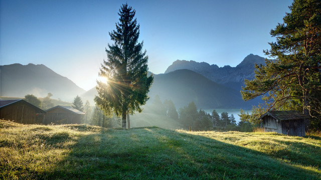 Grassy field tree mountains sunshine free wallpaper - medium preview image