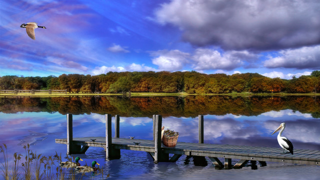 Bird dock lake boat sky free wallpaper - medium preview image