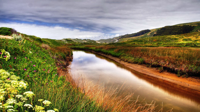 River hillside flower meadow mountains free wallpaper - medium preview image