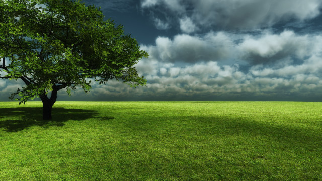 Tree field cloudy sky green #2 free wallpaper - medium preview image