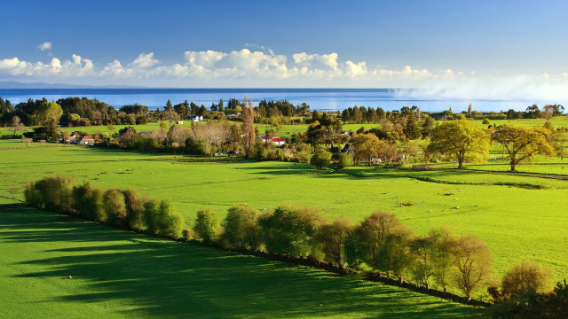 Green field trees water clouds free wallpaper - medium preview image