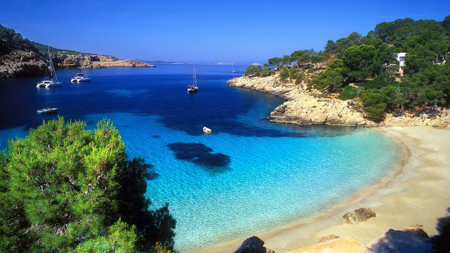 Beach boats trees sky landscape free wallpaper - medium preview image