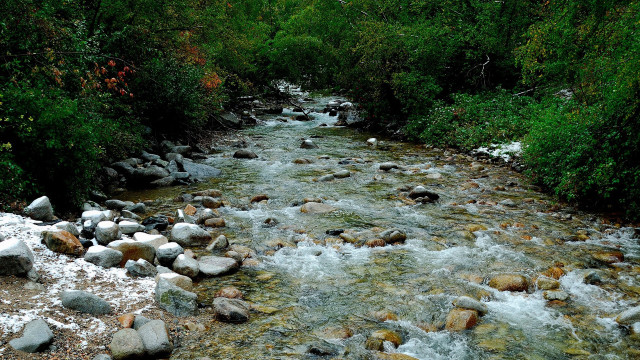 Forest river snow rocks trees free wallpaper - medium preview image