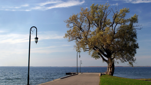 Tree road water lamp bench free wallpaper - medium preview image