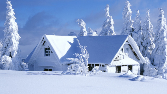 House snowy field trees blue #3 free wallpaper - medium preview image