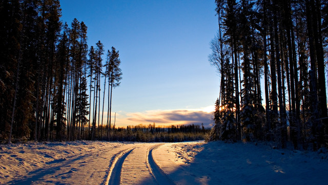 Snowy forest road matte painting free wallpaper - medium preview image