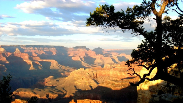 Canyon tree cloudy sky autumn free wallpaper - medium preview image