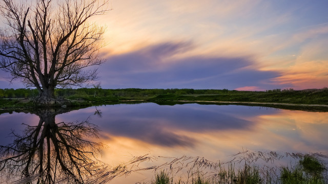 Tree lake reflection sunset autumn free wallpaper - medium preview image