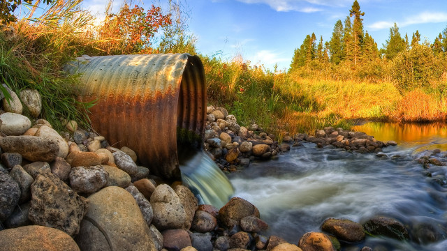 Lush forest stream rocks autumn free wallpaper - medium preview image