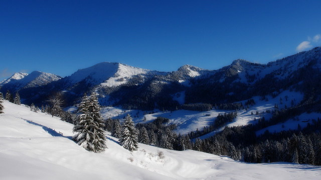 Snowy mountain trees blue sky #6 free wallpaper - medium preview image