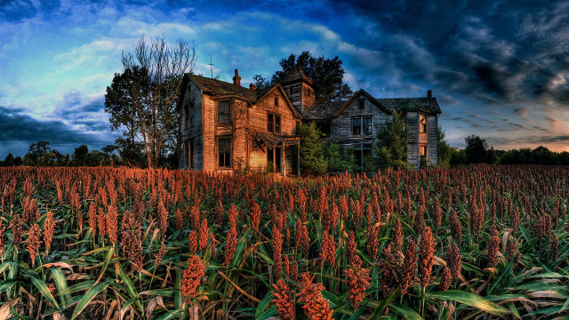 House field clouds gothic matte free wallpaper - medium preview image