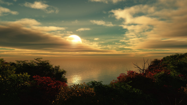 Sunset ocean clouds trees city free wallpaper - medium preview image