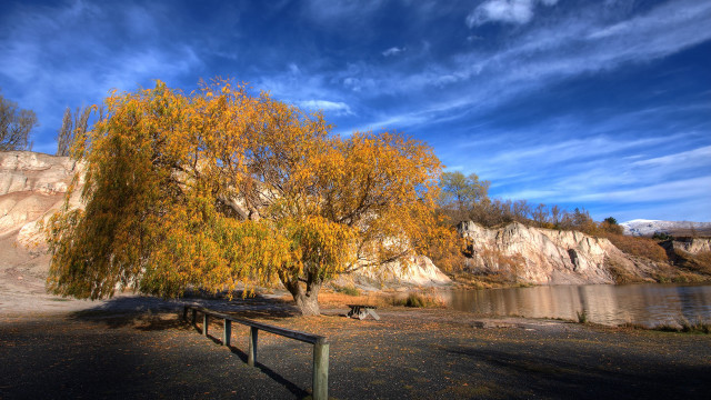 Yellow leaves tree water mountain free wallpaper - medium preview image