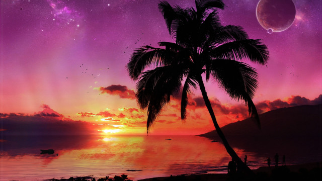Palm tree silhouette sunset ocean #5 free wallpaper - medium preview image
