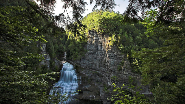 Waterfall forest bridge trees nature free wallpaper - medium preview image