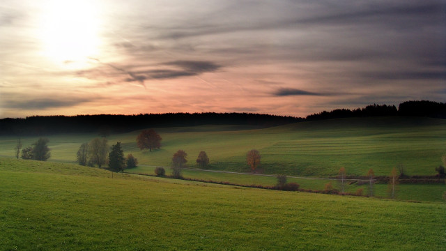 Green fence trees sunset cloudy #3 free wallpaper - medium preview image