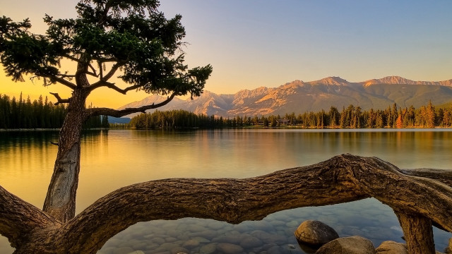 Tree branch lake mountains sunset free wallpaper - medium preview image
