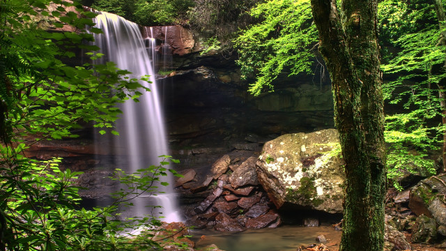 Waterfall forest rocks trees people free wallpaper - medium preview image