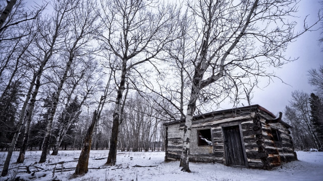 Snowy woods cabin autumn nature free wallpaper - medium preview image