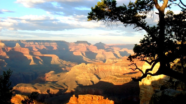 Canyon tree clouds autumn matte free wallpaper - medium preview image