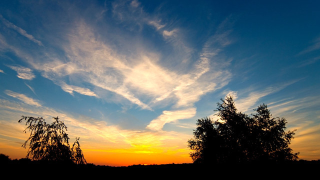 Sunset clouds trees dusk city free wallpaper - medium preview image
