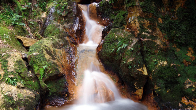 Small waterfall mossy rocks forest free wallpaper - medium preview image