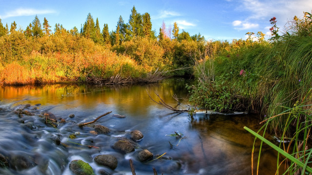 River forest autumn leaves campfire free wallpaper - medium preview image