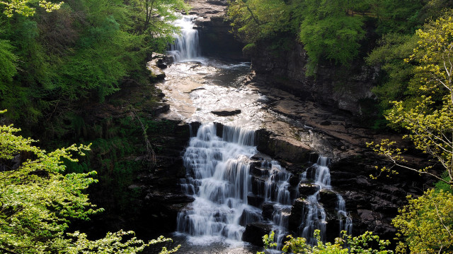 Waterfall forest bench river scene free wallpaper - medium preview image