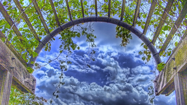 Cloudy sky park bench tree free wallpaper - medium preview image