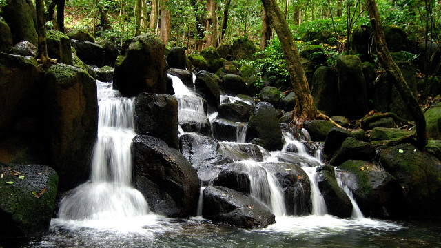 Tropical waterfall forest rocks trees free wallpaper - medium preview image