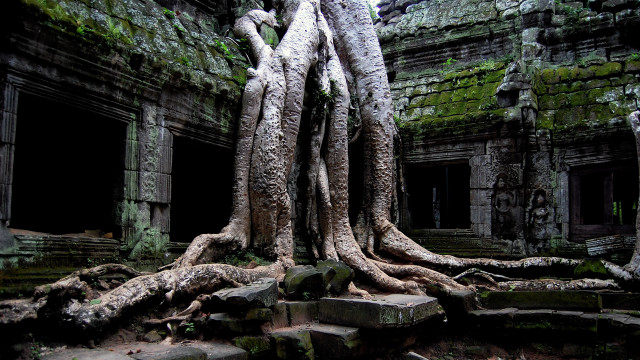 Overgrown tree ruins architecture waterfall free wallpaper - medium preview image